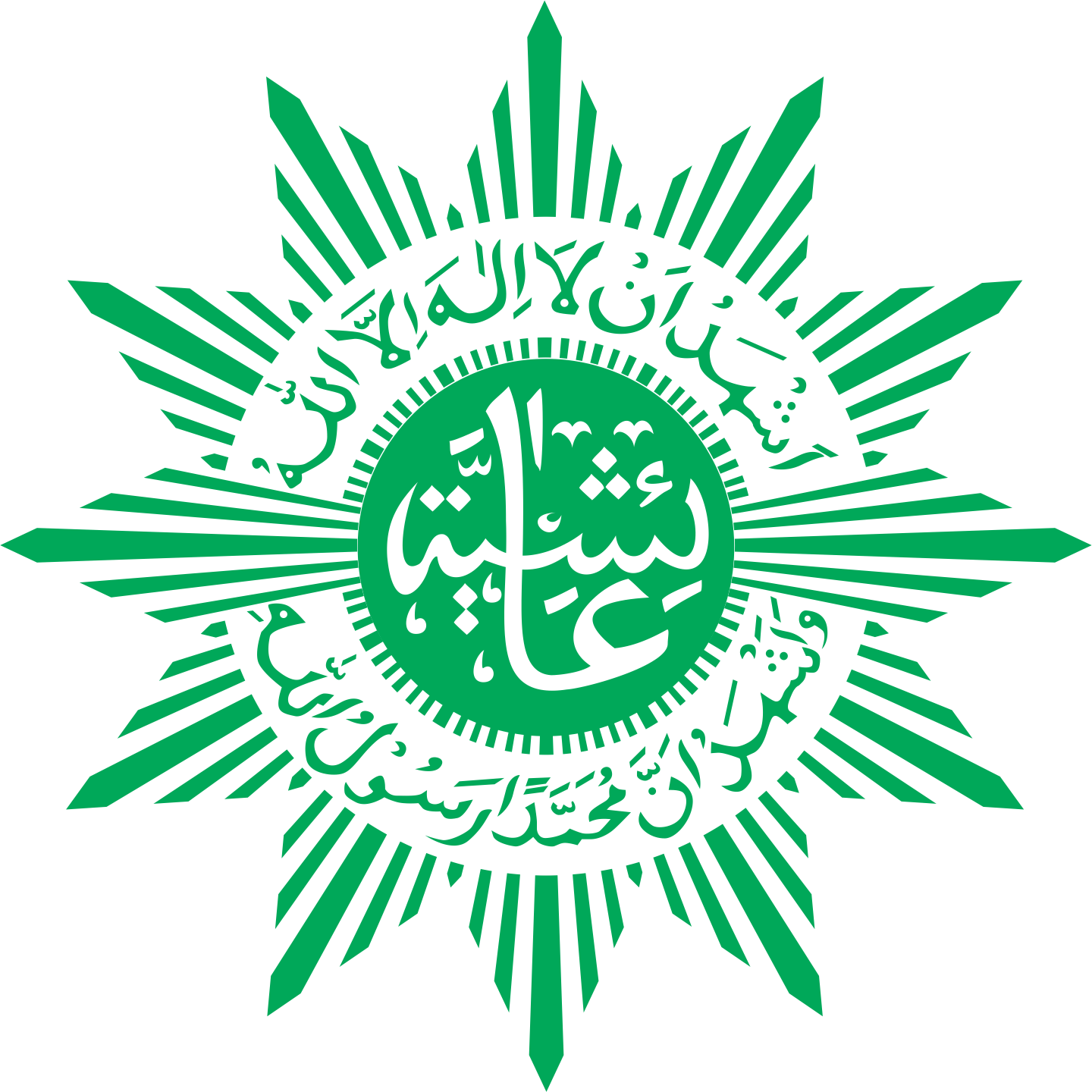 aisyiyah logo